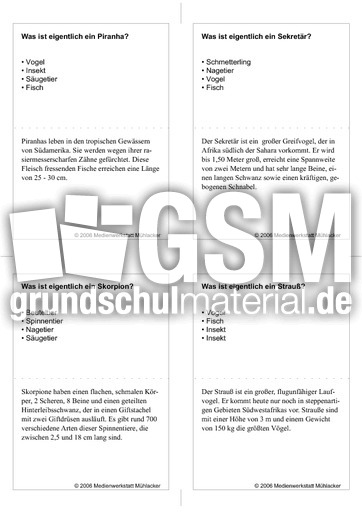 Quiz-Karten-Tiernamen 41.pdf